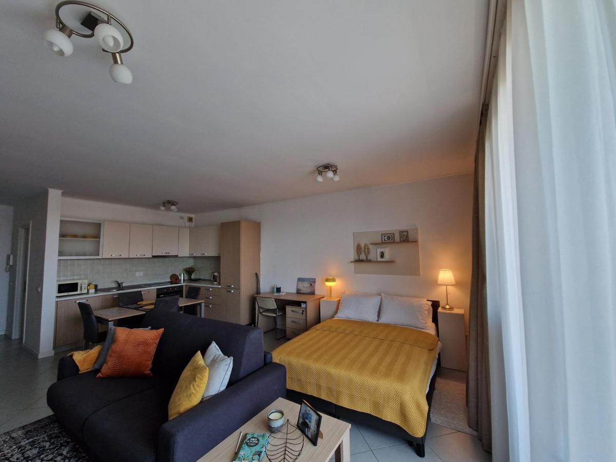 Central Skystudio Apartment Timisoara Exterior photo
